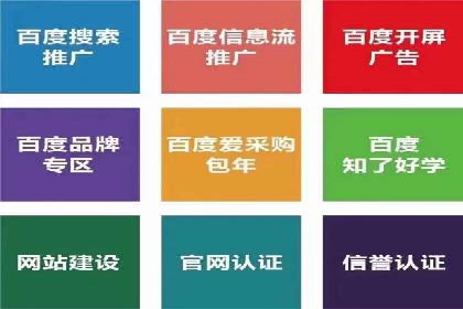 案例研究：信息流广告投放优化